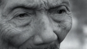 ACT2_Native elder ECU_2.8.8